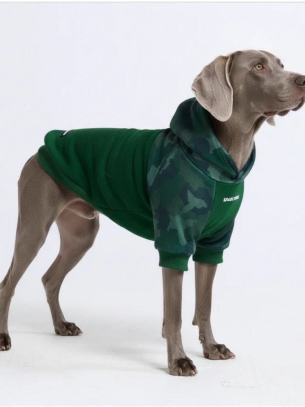 Spark Paws Green Camo Hoodie 5xl